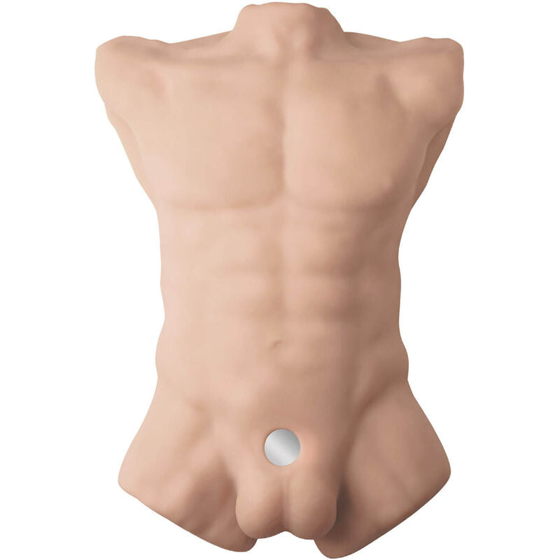 SILEXD - Apollo L realistic male torso
